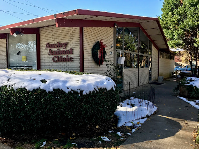 Best Vets in AtlantaAnsley Animal Clinic Total Vet Best Vets in Atlanta Ansley Animal Clinic