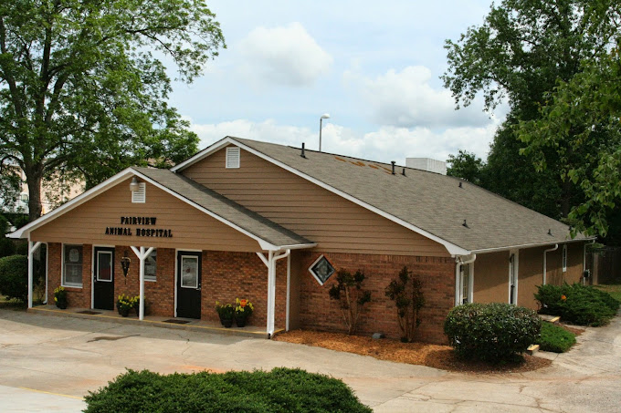 Best Vets in AtlantaFairview Animal Hospital Total Vet Best Vets in Atlanta Fairview Animal Hospital