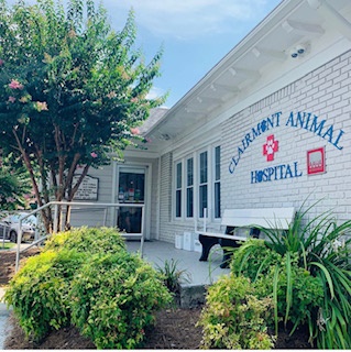 Best Vets in AtlantaFor Pets Sake Total Vet Best Vets in Atlanta For Pets Sake