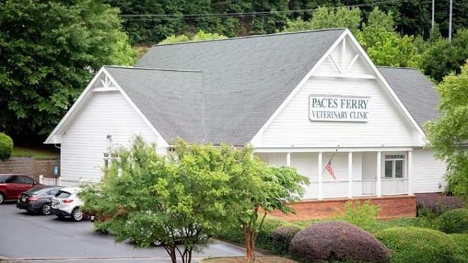 Best Vets in AtlantaPaces Ferry Veterinary Clinic Total Vet Best Vets in Atlanta Paces Ferry Veterinary Clinic