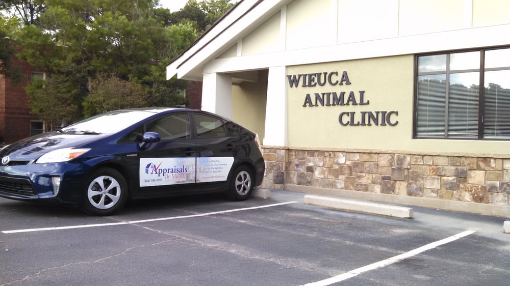 Best Vets in AtlantaWieuca Animal Clinic Total Vet Best Vets in Atlanta Wieuca Animal Clinic