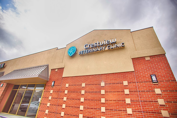 Best Vets in AustinCrestview Veterinary Clinic Total Vet Best Vets in Austin Crestview Veterinary Clinic