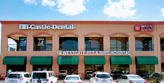 Best Vets in AustinWestgate Pet Bird Hospital Total Vet Best Vets in Austin Westgate Pet Bird Hospital