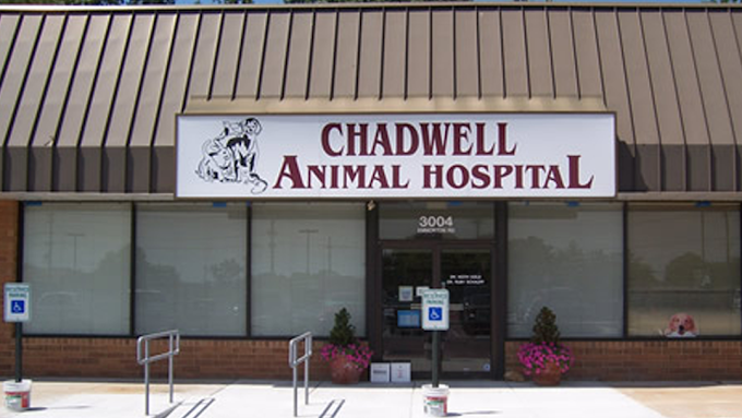 Best Vets in BaltimoreChadwell Animal Hospital Total Vet Best Vets in Baltimore Chadwell Animal Hospital