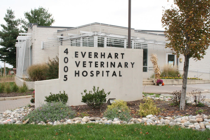 Best Vets in BaltimoreEverhart Veterinary Hospital Total Vet Best Vets in Baltimore Everhart Veterinary Hospital