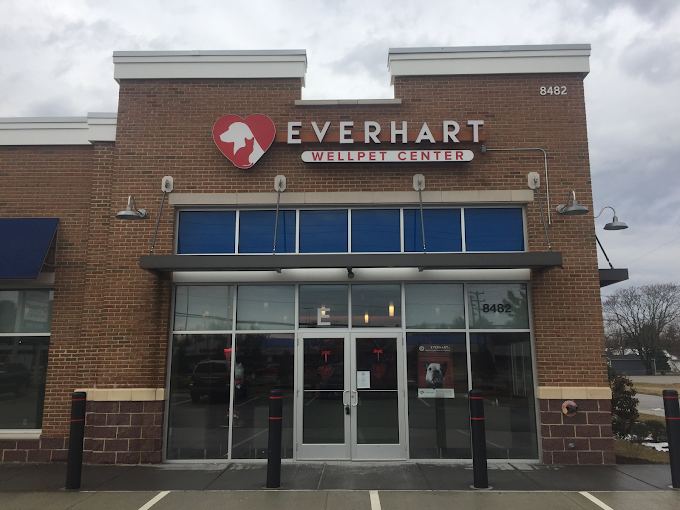 Best Vets in BaltimoreEverhart WellPet Total Vet Best Vets in Baltimore Everhart Well Pet
