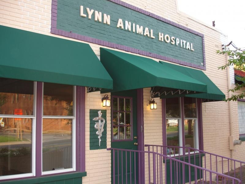 Best Vets in BaltimoreLynn Animal Hospital Total Vet Best Vets in Baltimore Lynn Animal Hospital