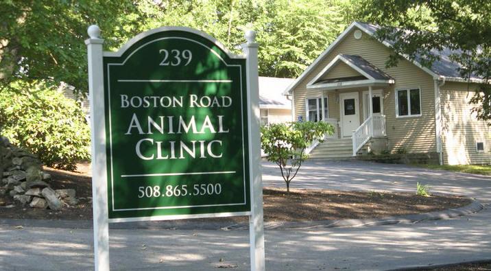 Best Vets in BostonBoston Road Animal Clinic Total Vet Best Vets in Boston Boston Road Animal Clinic