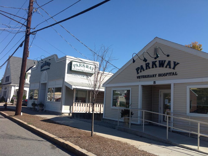 Best Vets in BostonParkway Veterinary Hospital Total Vet Best Vets in Boston Parkway Veterinary Hospital