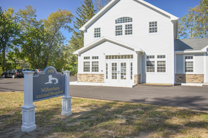 Best Vets in BostonWilbraham Animal Hospital Total Vet Best Vets in Boston Wilbraham Animal Hospital