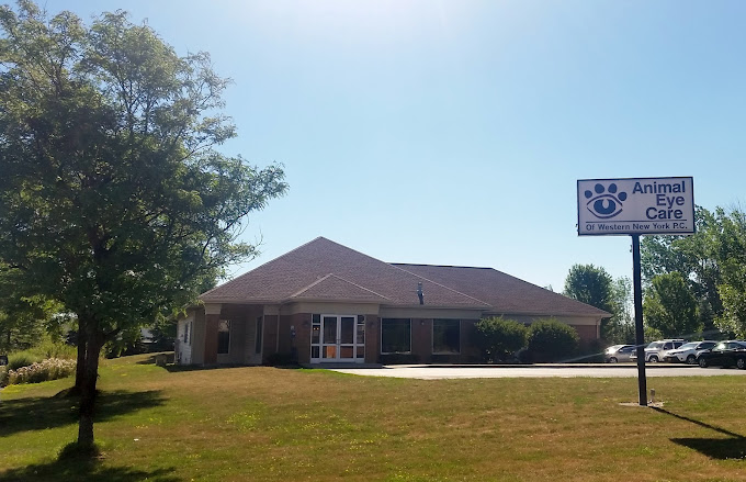 Best Vets in BuffaloAnimal Eye Care of Western New York Total Vet Best Vets in Buffalo Animal Eye Care of Western New York