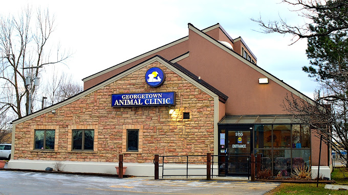 Best Vets in BuffaloGeorgetown Animal Clinic Total Vet Best Vets in Buffalo Georgetown Animal Clinic
