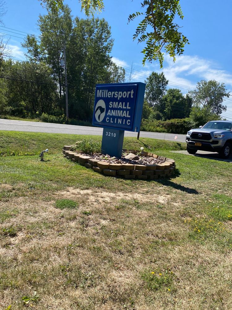 Best Vets in BuffaloMillersport Small Animal Clinic Total Vet Best Vets in Buffalo Millersport Small Animal Clinic