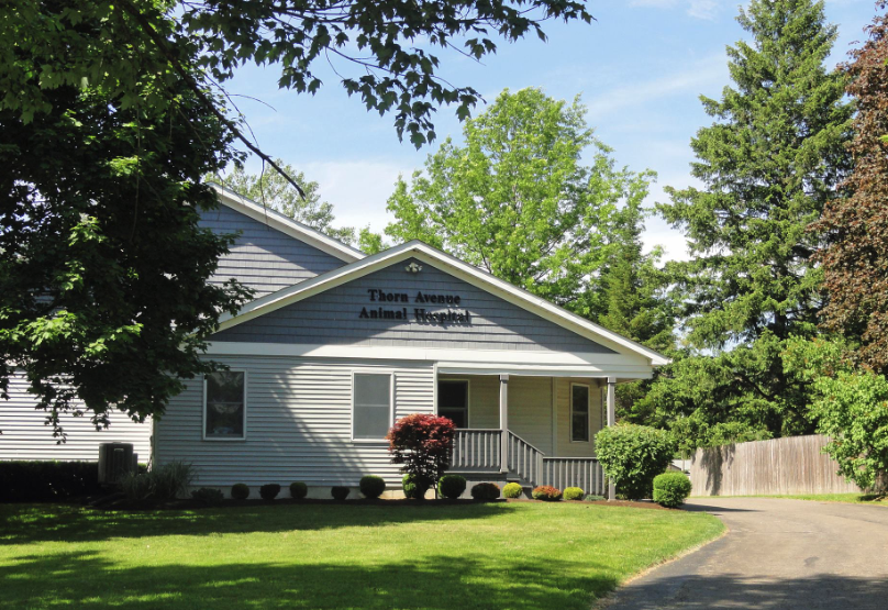 Best Vets in BuffaloThorn Avenue Animal Hospital Total Vet Best Vets in Buffalo Thorn Avenue Animal Hospital
