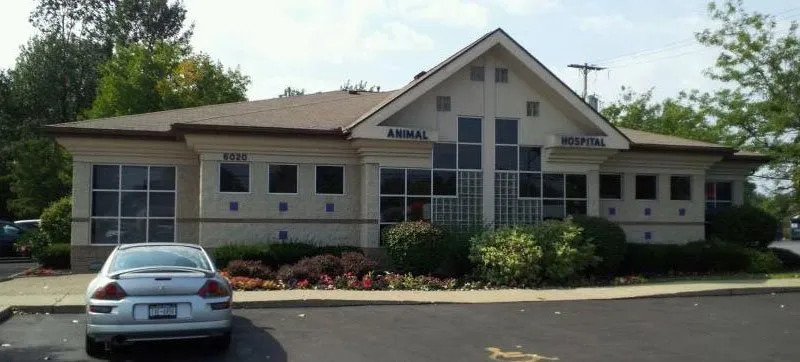 Best Vets in BuffaloTransit Valley Animal Hospital Total Vet Best Vets in Buffalo Transit Valley Animal Hospital