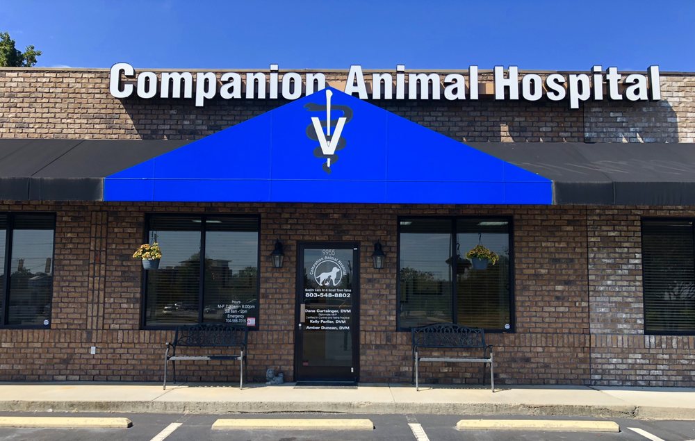 Best Vets in CharlotteCompanion Animal Hospital of Indian Land Total Vet Best Vets in Charlotte Companion Animal Hospital of Indian Land