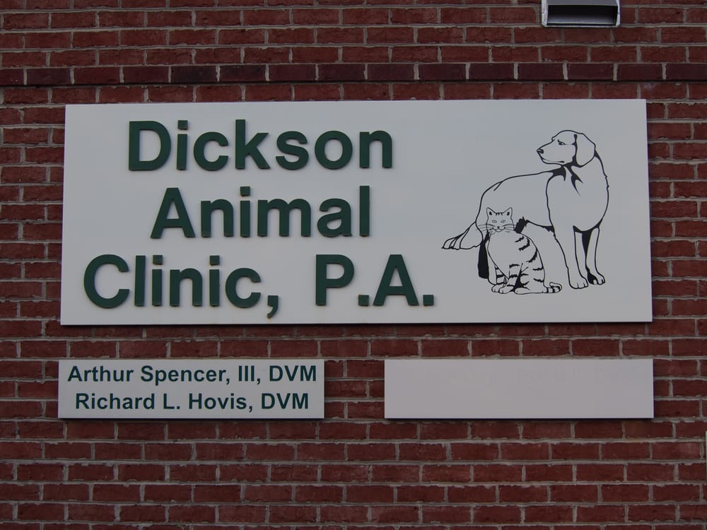 Best Vets in CharlotteDickson Animal Clinic Total Vet Best Vets in Charlotte Dickson Animal Clinic