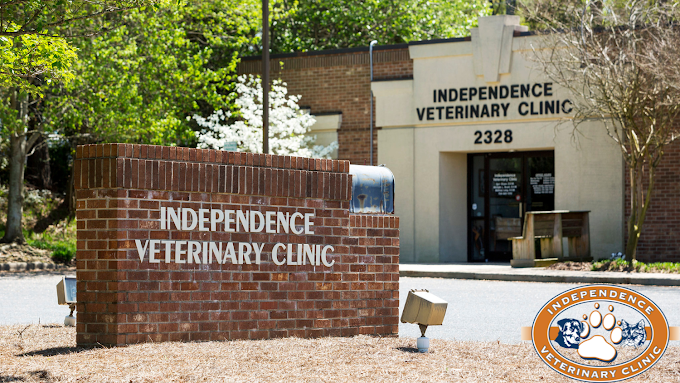 Best Vets in CharlotteIndependence Veterinary Clinic Total Vet Best Vets in Charlotte Independence Veterinary Clinic