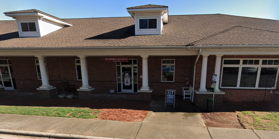 Best Vets in CharlotteMallard Creek Animal Hospital Total Vet Best Vets in Charlotte Mallard Creek Animal Hospital