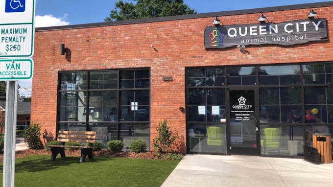 Best Vets in CharlotteQueen City Animal Hospital Total Vet Best Vets in Charlotte Queen City Animal Hospital