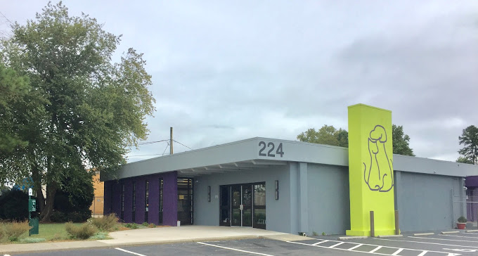 Best Vets in CharlotteStand for Animals Veterinary Clinic Total Vet Best Vets in Charlotte Stand for Animals Veterinary Clinic