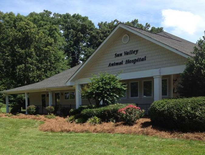 Best Vets in CharlotteSun Valley Animal Hospital Total Vet Best Vets in Charlotte Sun Valley Animal Hospital