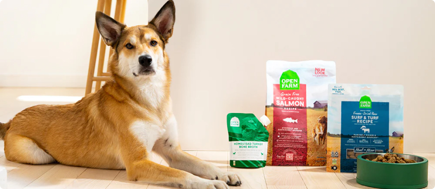 openfarmdogfoodcomparison Total Vet