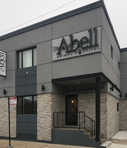 Best Vets in ChicagoAbell Animal Hospital Total Vet Best Vets in Chicago Abell Animal Hospital