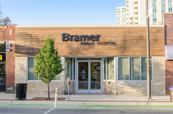 Best Vets in ChicagoBramer Animal Hospital Ltd Total Vet Best Vets in Chicago Bramer Animal Hospital Ltd