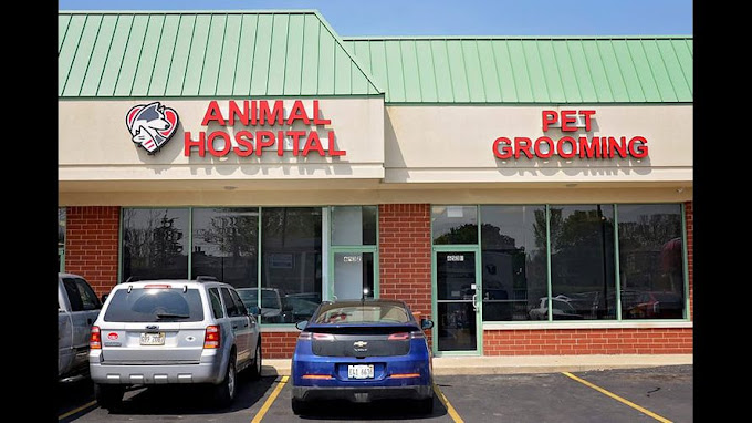 Best Vets in ChicagoCompanion Animal Hospital Oak Park Total Vet Best Vets in Chicago Companion Animal Hospital Oak Park