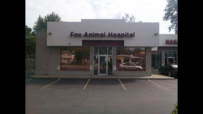 Best Vets in ChicagoFox Animal Hospital Total Vet Best Vets in Chicago Fox Animal Hospital