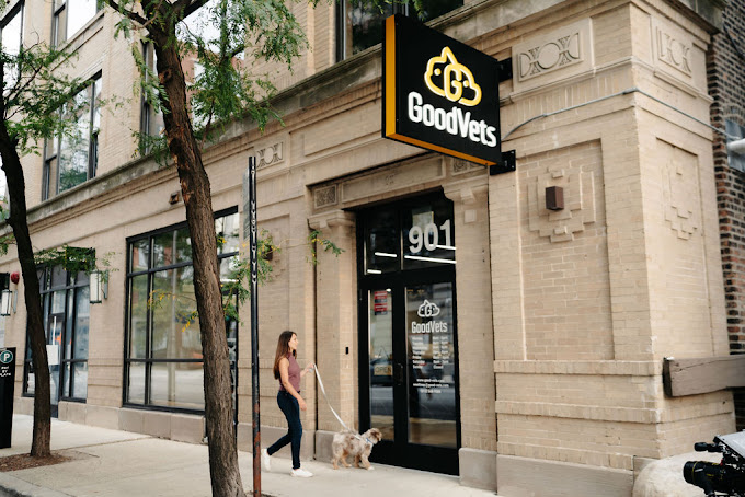 Best Vets in ChicagoGoodVets West Loop Total Vet Best Vets in Chicago GoodVets West Loop