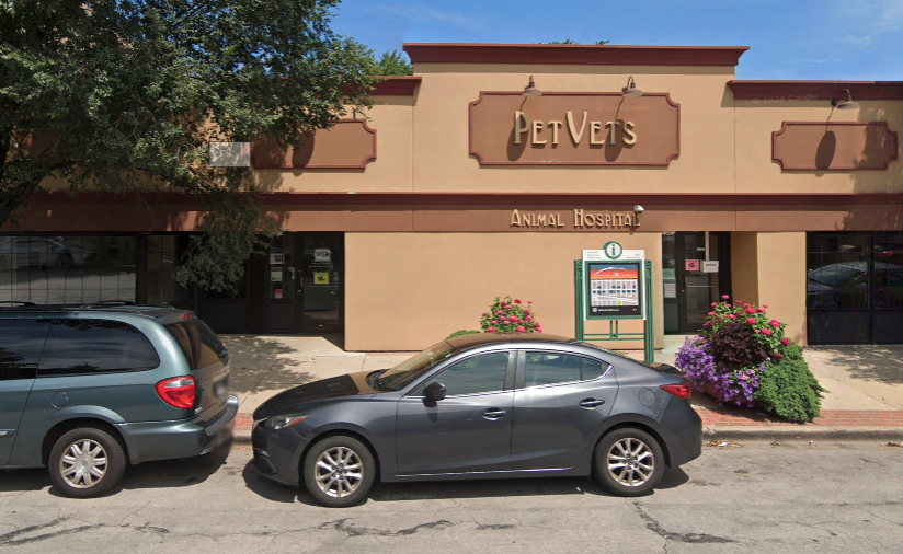 Best Vets in ChicagoPetVets Animal Hospital Total Vet Best Vets in Chicago PetVets Animal Hospital