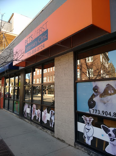 Best Vets in ChicagoPets First Veterinary Clinic Total Vet Best Vets in Chicago Pets First Veterinary Clinic