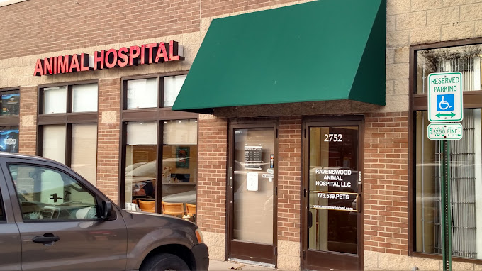 Best Vets in ChicagoRavenswood Animal Hospital Total Vet Best Vets in Chicago Ravenswood Animal Hospital