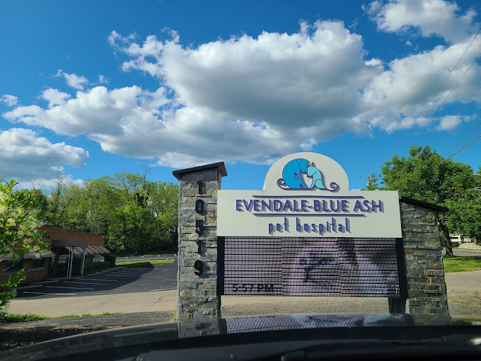 Best Vets in CincinnatiEvendale Blue Ash Pet Hospital Total Vet Best Vets in Cincinnati Evendale Blue Ash Pet Hospital