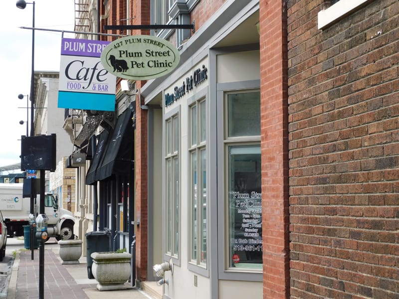 Best Vets in CincinnatiPlum Street Pet Clinic Total Vet Best Vets in Cincinnati Plum Street Pet Clinic