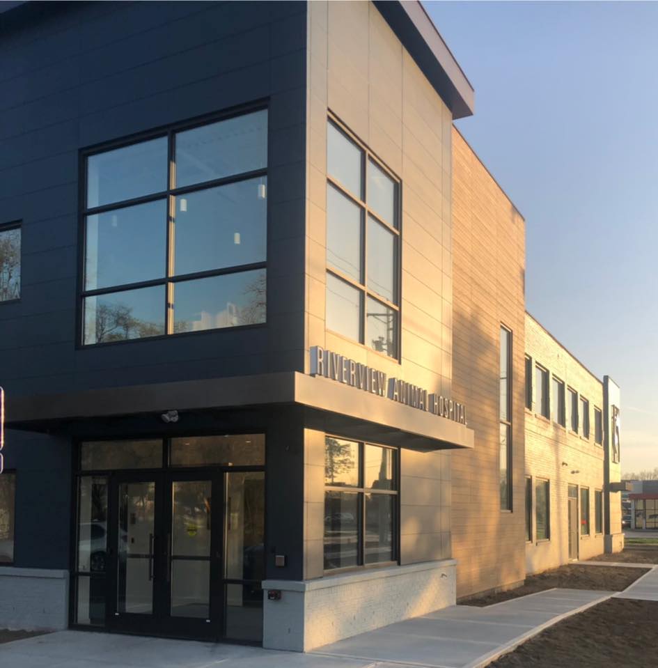 Best Vets in CincinnatiRiverview Animal Hospital Total Vet Best Vets in Cincinnati Riverview Animal Hospital