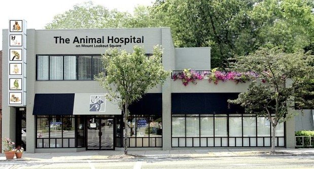 Best Vets in CincinnatiThe Animal Hospital on Mt Lookout Square Total Vet Best Vets in Cincinnati The Animal Hospital on Mt Lookout Square