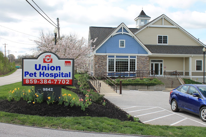 Best Vets in CincinnatiUnion Pet Hospital Total Vet Best Vets in Cincinnati Union Pet Hospital