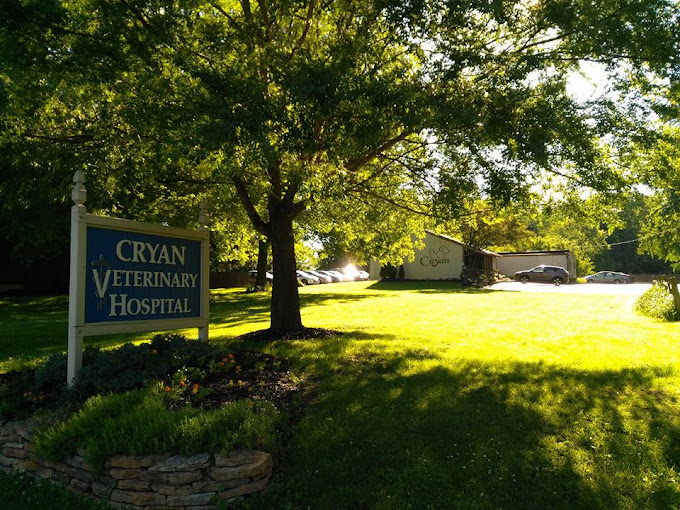 Best Vets in ColumbusCryan Veterinary Hospital Total Vet Best Vets in Columbus Cryan Veterinary Hospital