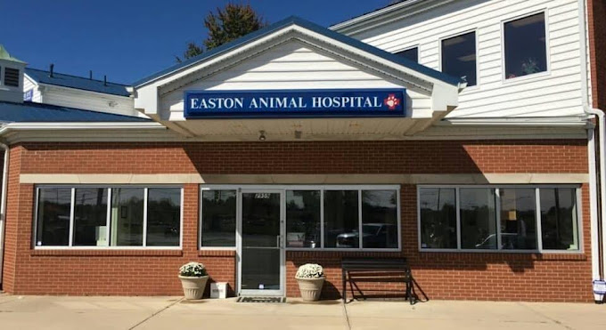 Best Vets in ColumbusEaston Animal Hospital Total Vet Best Vets in Columbus Easton Animal Hospital