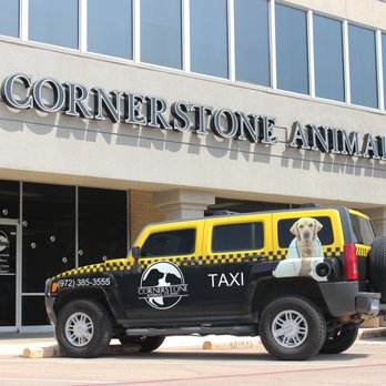 Best Vets in DallasCornerstone Animal Clinic Total Vet Best Vets in Dallas Cornerstone Animal Clinic