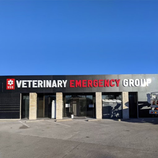 Best Vets in DallasVeterinary Emergency Group Total Vet Best Vets in Dallas Veterinary Emergency Group