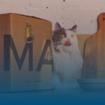 Smalls Cat Food