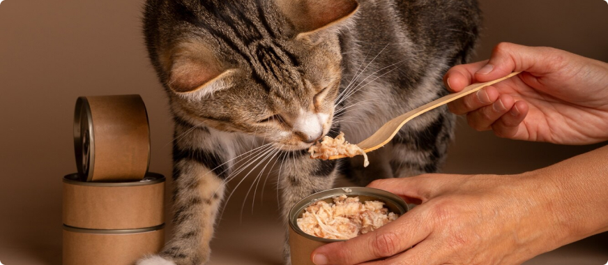 smallscatfoodnutririonalprofile Total Vet