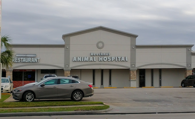 Best Vets in HoustonBeechnut Animal Hospital Total Vet Best Vets in Houston Beechnut Animal Hospital