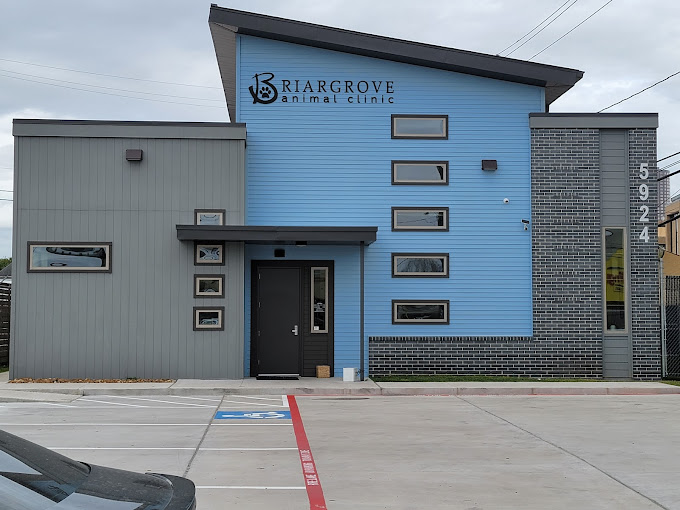 Best Vets in HoustonBriargrove Animal Hospital Total Vet Best Vets in Houston Briargrove Animal Hospital