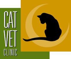 Best Vets in HoustonCat Veterinary Clinic Total Vet Best Vets in Houston Cat Veterinary Clinic
