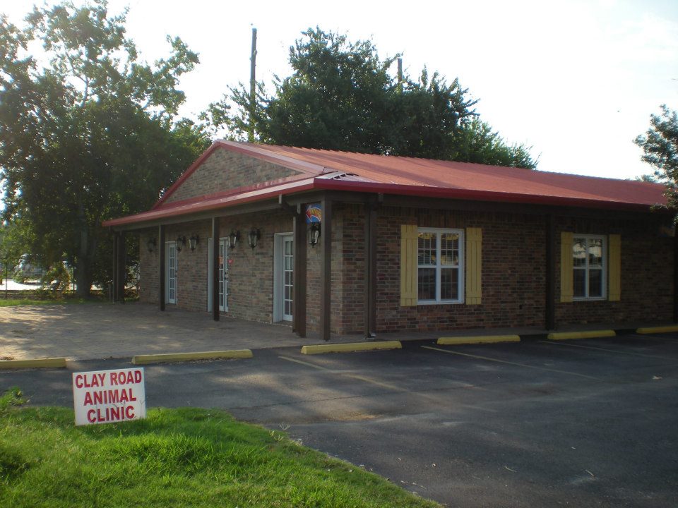 Best Vets in HoustonClay Road Animal Clinic Total Vet Best Vets in Houston Clay Road Animal Clinic